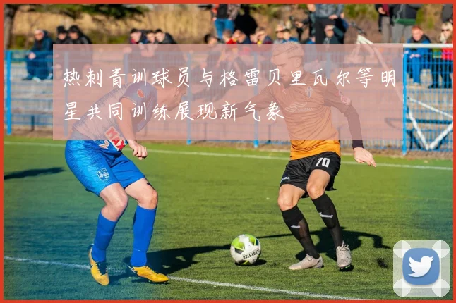 热刺青训球员与格雷贝里瓦尔等明星共同训练展现新气象
