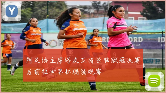 阿足协主席塔皮亚将亲临欧冠决赛后前往世界杯现场观赛